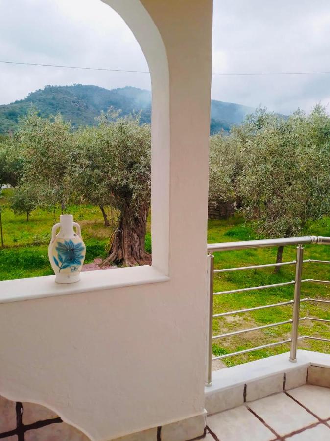 Villa Calypso Skala Rachoni  Exteriör bild