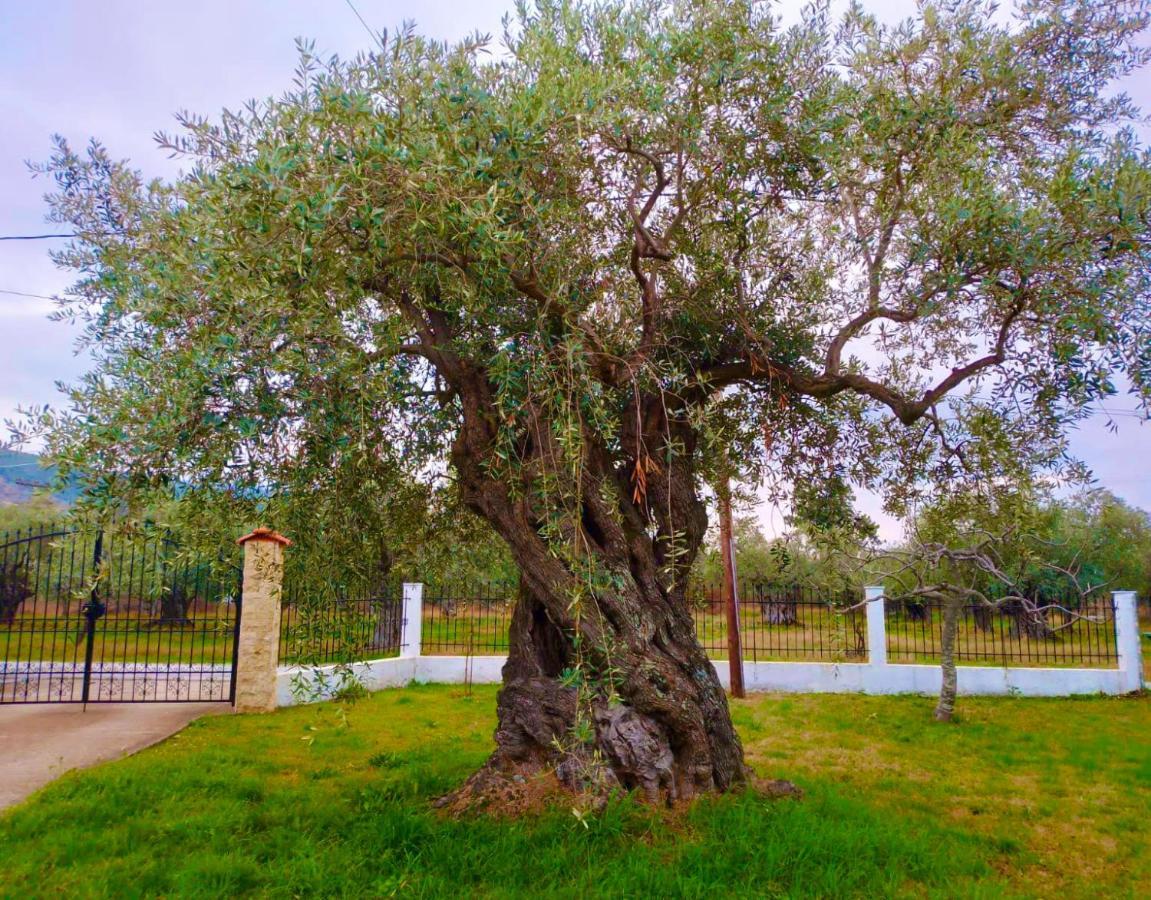 Villa Calypso Skala Rachoni  Exteriör bild