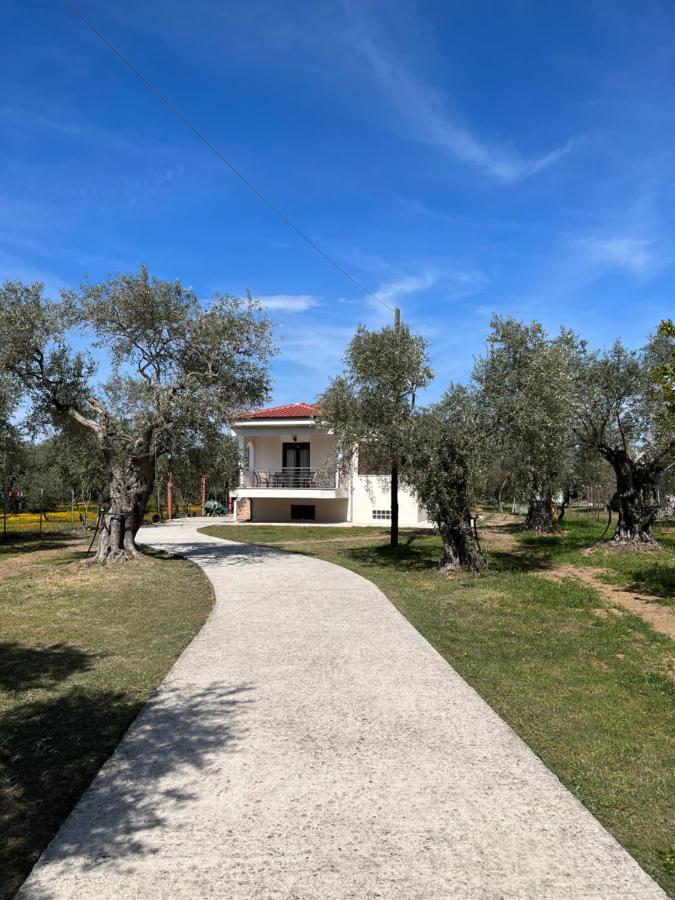 Villa Calypso Skala Rachoni  Exteriör bild