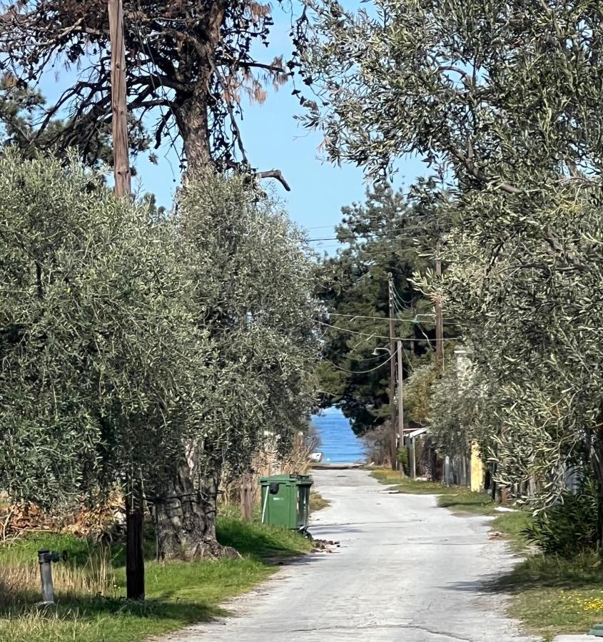 Villa Calypso Skala Rachoni  Exteriör bild